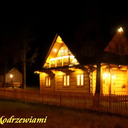Villa Pod Modrzewiami Ciche  Exterior foto